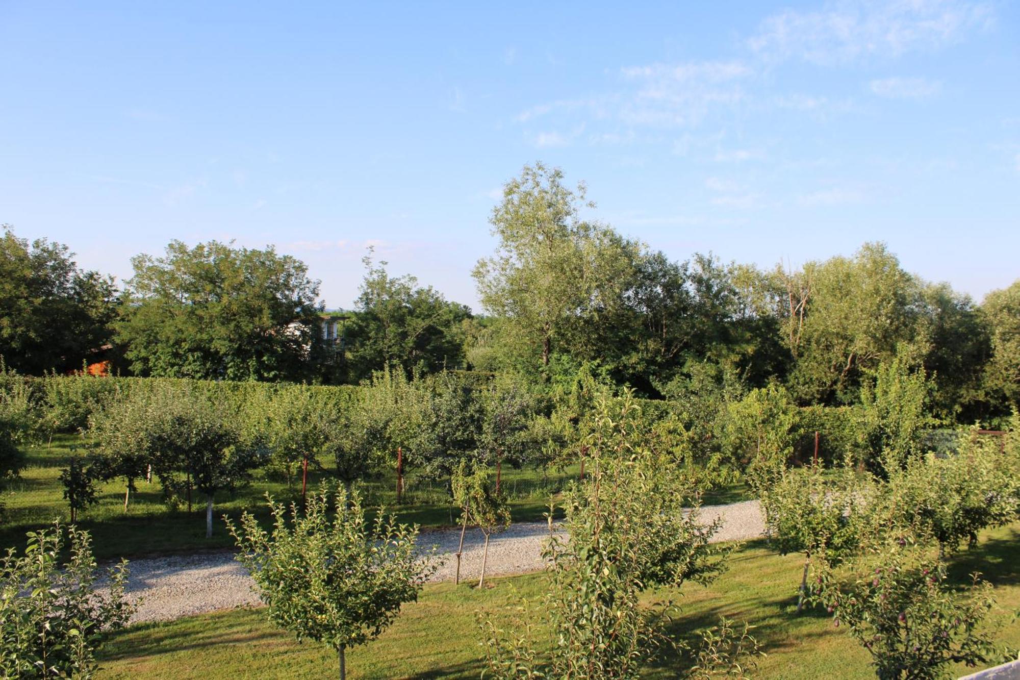 Jai Giridhari Villa Felek Kültér fotó